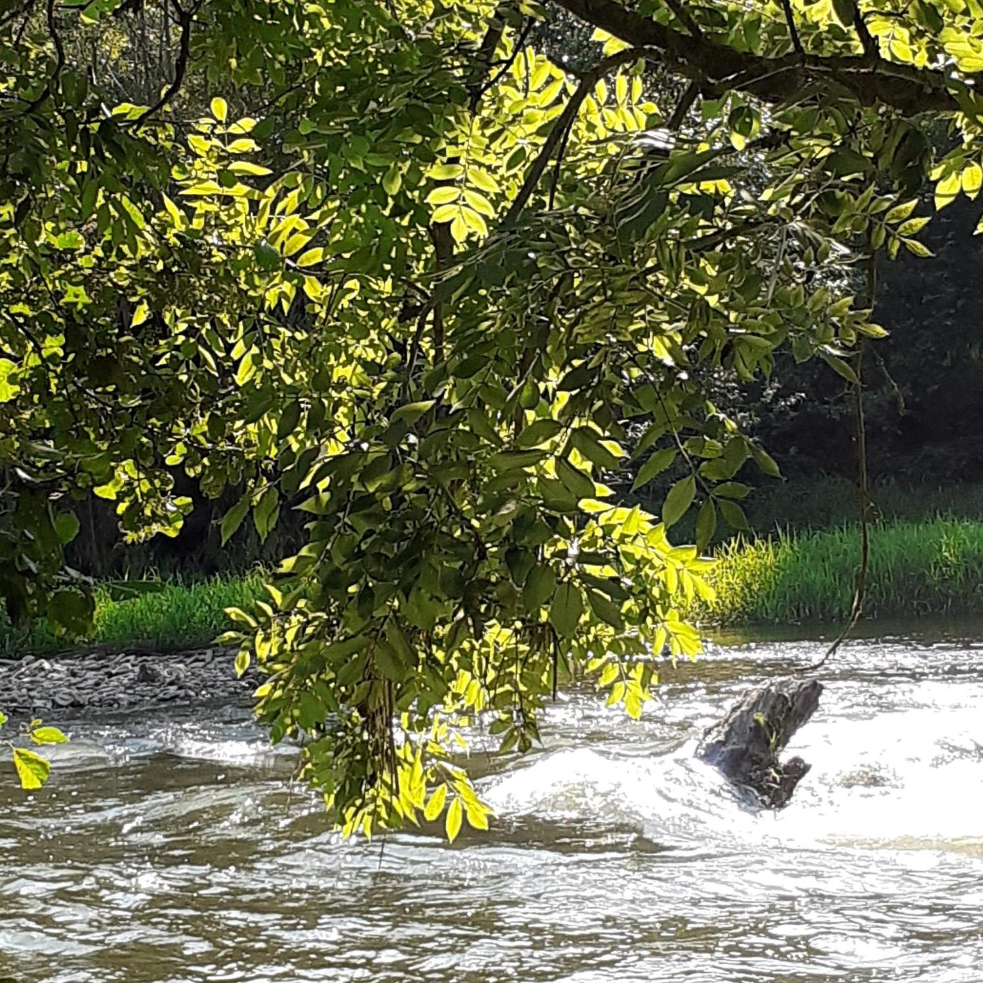 Stadt Land Fluss Plus Арнсберг Екстер'єр фото